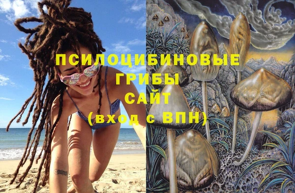эйфоретик Няндома