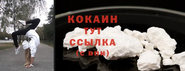 эйфоретик Няндома