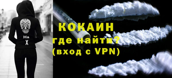 эйфоретик Няндома