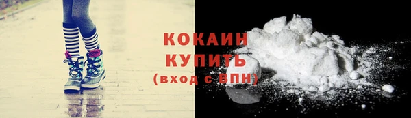 эйфоретик Няндома