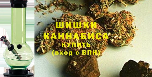 эйфоретик Няндома