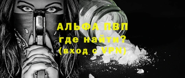 эйфоретик Няндома