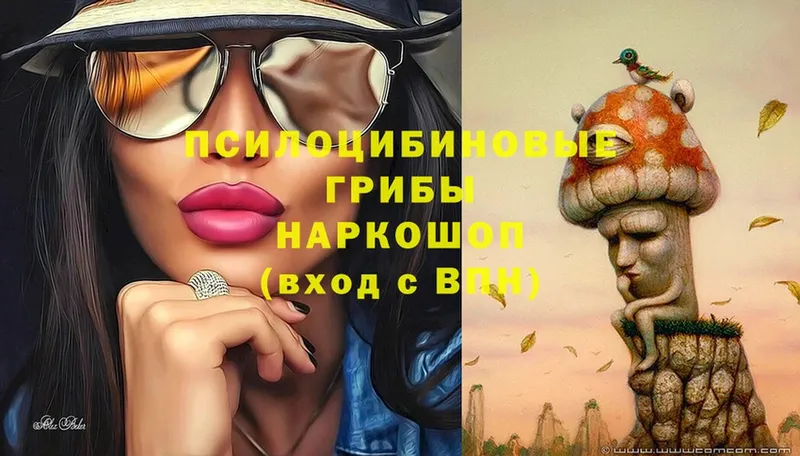 Псилоцибиновые грибы мухоморы  Кизляр 