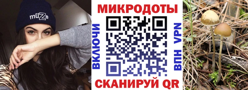 Псилоцибиновые грибы MAGIC MUSHROOMS  Кизляр 
