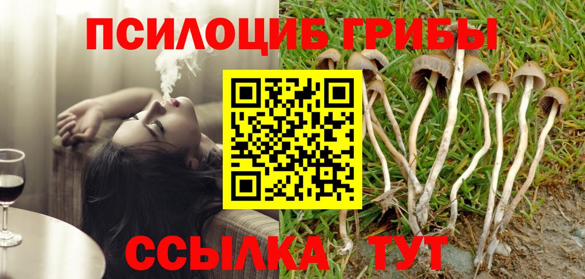 Галлюциногенные грибы прущие грибы Кизляр