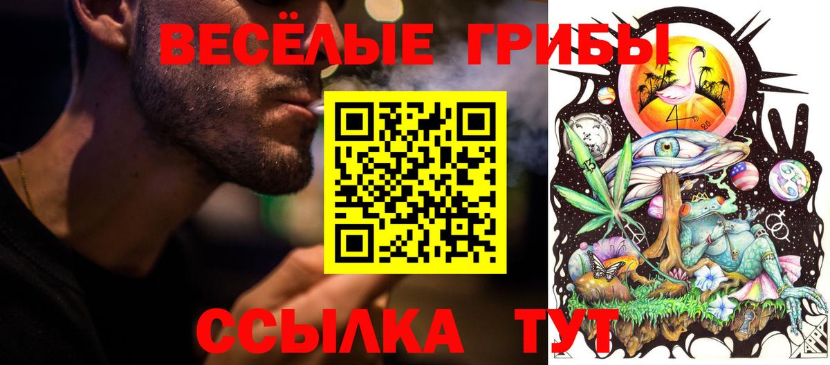 Кизляр  Галлюциногенные грибы GOLDEN TEACHER  купить наркотики цена  Вход с VPN 
