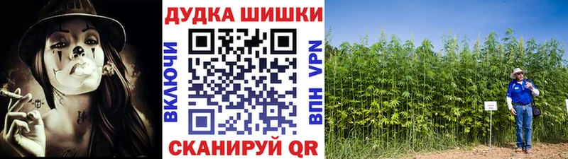 Канабис Amnesia  Кизляр 